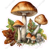 Mushroom 5 w/ Variants