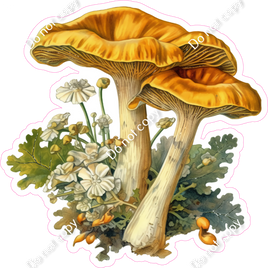 Mushroom 6 w/ Variants