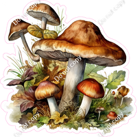 Mushroom 7 w/ Variants