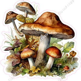Mushroom 7 w/ Variants