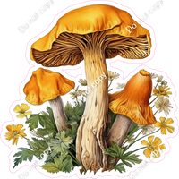 Mushroom 8 w/ Variants