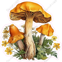 Mushroom 8 w/ Variants