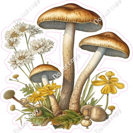 Mushroom 9 w/ Variants