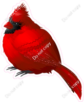 Cardinal Bird 1 w/ Variants