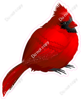 Cardinal Bird 1 w/ Variants