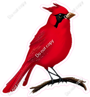 Cardinal Bird 2 w/ Variants