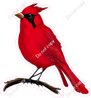 Cardinal Bird 2 w/ Variants