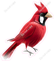 Cardinal Bird 3 w/ Variants
