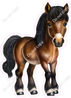 Brown Horse w/ Variants