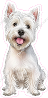 West Highland White Terrier Dog w/ Variants