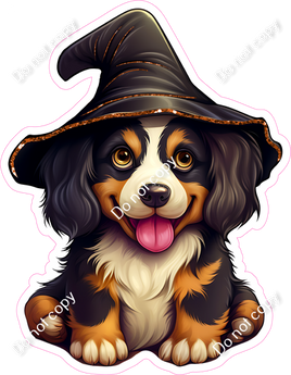 Dog in Witch Hat