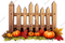 Fall Fence with Pumpkins w/ Variants