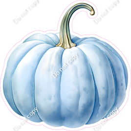 Baby Blue Pumpkin