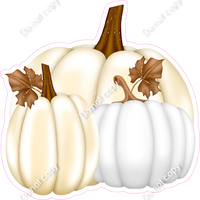 White & Beige Pumpkins w/ Variants
