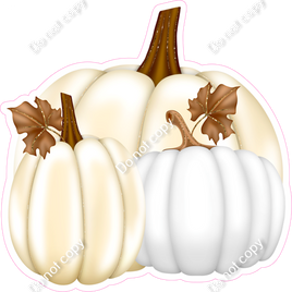 White & Beige Pumpkins w/ Variants