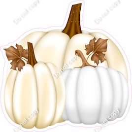 White & Beige Pumpkins
