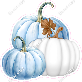 Baby Blue & White Pumpkins