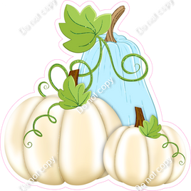 Baby Blue & Beige Pumpkins