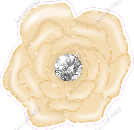 Champagne Rose with Diamond