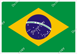 Brazil Flag w/ Variants