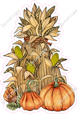 Corn / Hay, Pumpkins