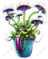 Venus Fly Trap Plant w/ Variants