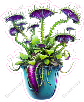 Venus Fly Trap Plant w/ Variants