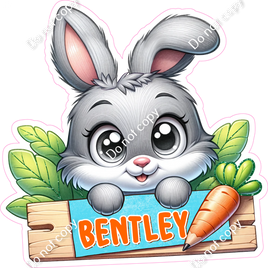 Custom Boy Easter Rabbit - Change Name & Name Color