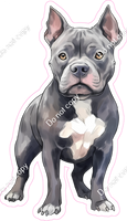 Grey Pit Bull Dog - Standing Pointed Ears w/ Variants