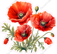 Red Poppy Flowers w/ Variants