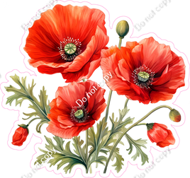 Red Poppy Flowers w/ Variants