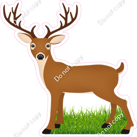 Buck Deer w/ Variants