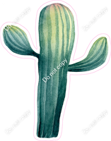 Cactus w/ Variants