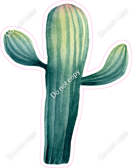 Cactus w/ Variants