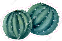 Cactus w/ Variants