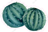 Cactus w/ Variants