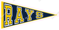 Pennant - Tampa Bay Rays w/ Variants