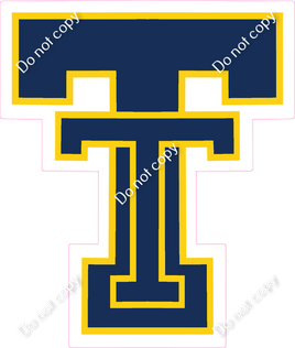 Custom - TT Logo