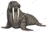 Walrus w/ Variants