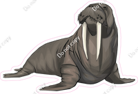 Walrus w/ Variants