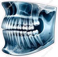 Dental - X-Ray w/ Variants