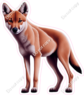 Dingo Dog w/ Variants