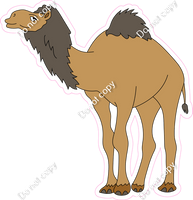 Camel w/ Variants