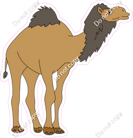 Camel w/ Variants