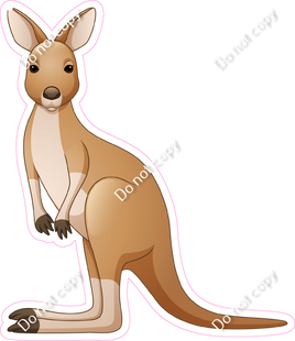 Kangaroo