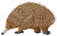 Echidna