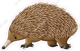 Echidna