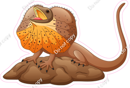 Frilled Lizard