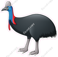 Northern Cassowary