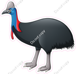 Northern Cassowary